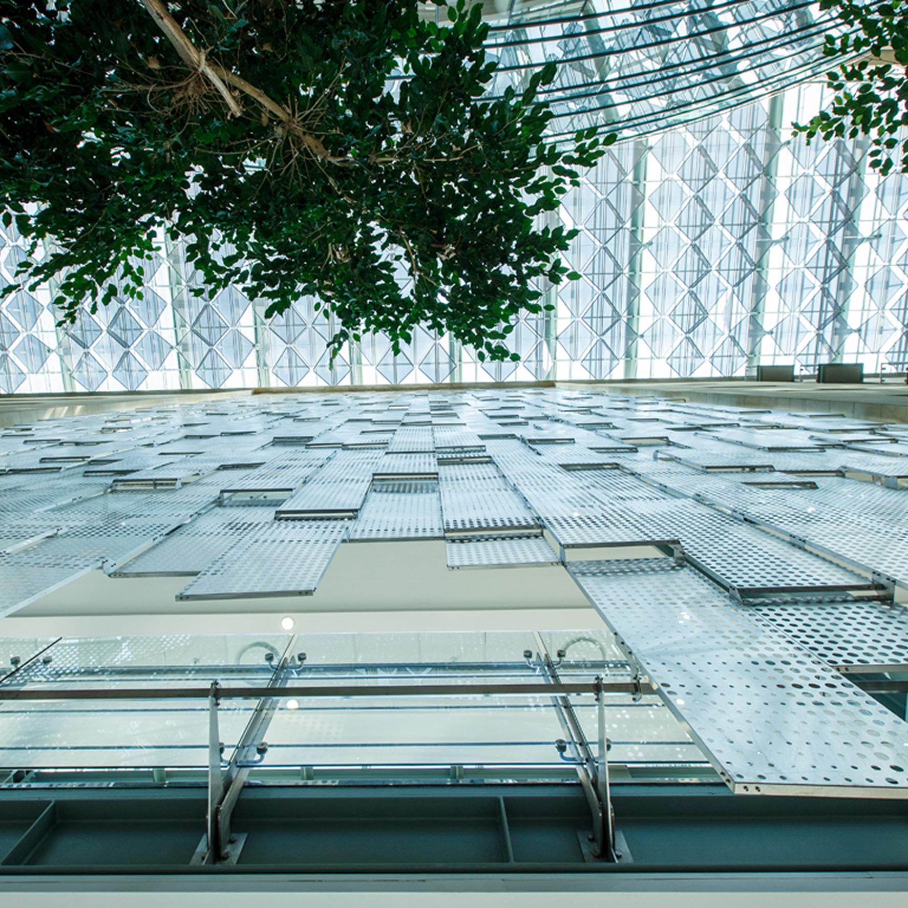 Rectangle 8